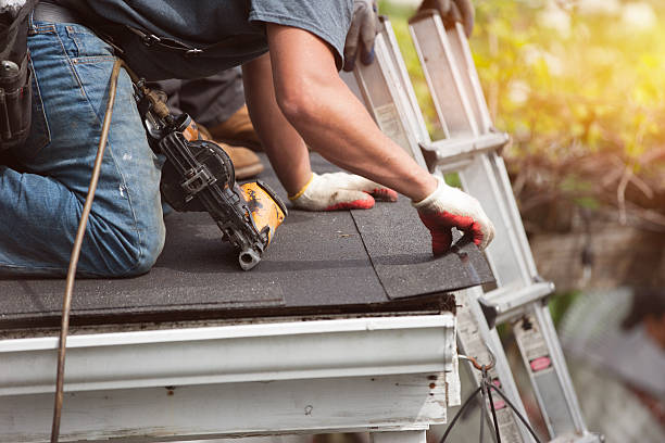 Best Roof Gutter Cleaning  in Sylvania, OH